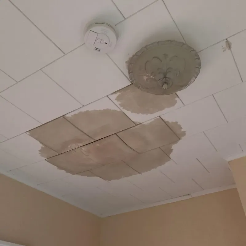 Ceiling Water Damage Repair in Alliance, OH