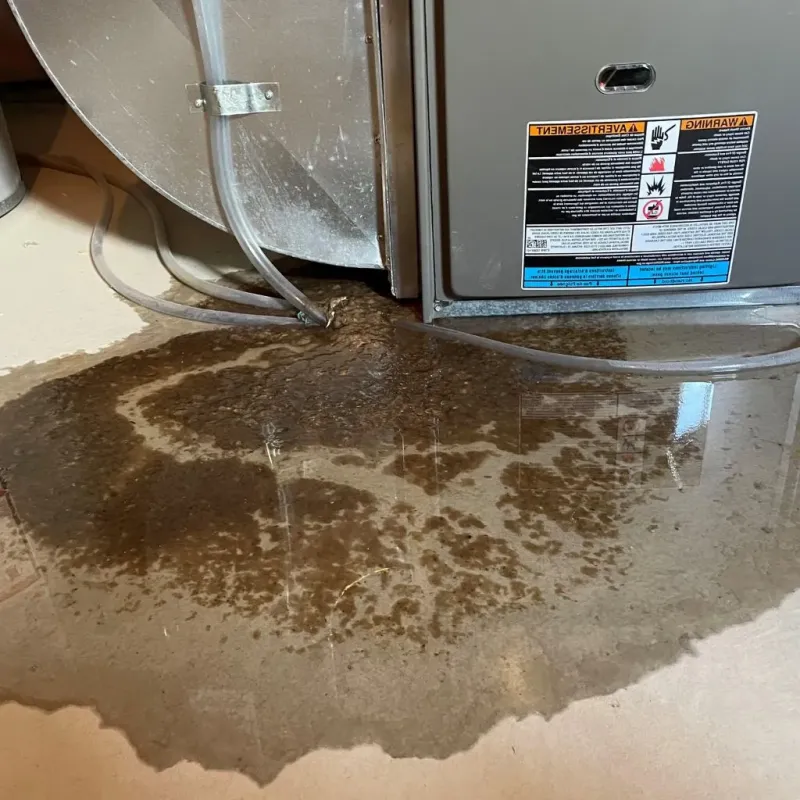 Pipe Burst and Leak Restoration in Alliance, OH