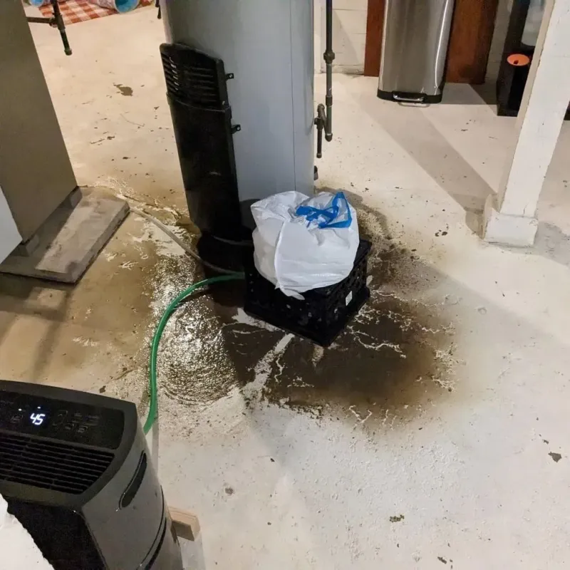 Sewage Backup Cleanup Service in Alliance, OH
